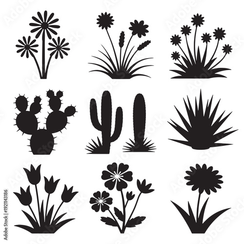 Nine black silhouettes of cacti and flowers on white background