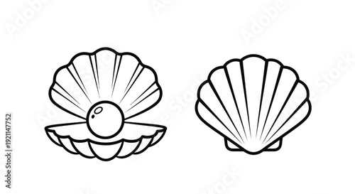 Two open seashells with pearls a striking black silhouette