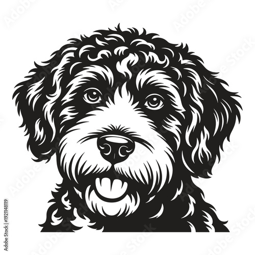 Black and white illustration of a dogs head with curly fur and a happy expression smiling at the camera  a friendly looking pet with a goofy grin