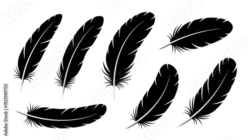 Collection of Black Feathers Isolated on White Background.