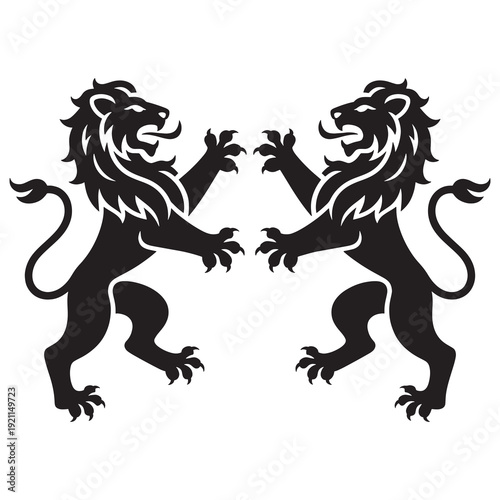 Two black lions standing face to face with their paws raised in a fighting stance on white background  lions in a confrontational pose