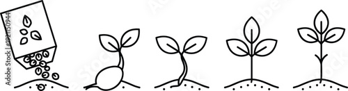 Plant growth illustration shows seeds sprouting and developing into seedling from packet