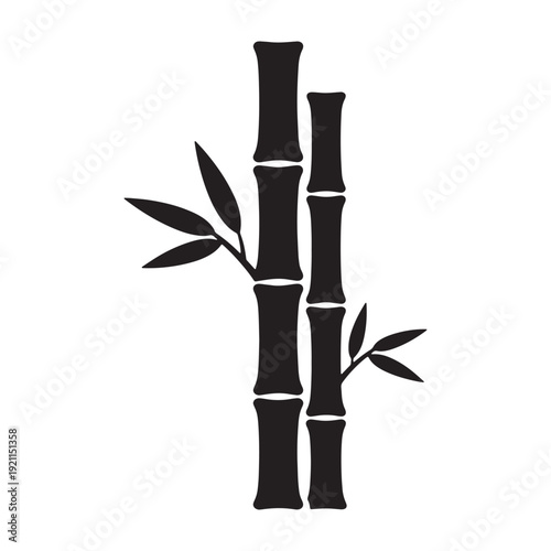 Black bamboo plant vector illustration, isolated on white background