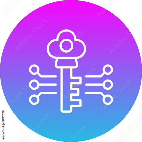 Key Programming Icon