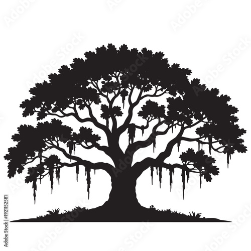 Silhouette of a large tree with sprawling branches and hanging moss  a symbol of nature and serenity