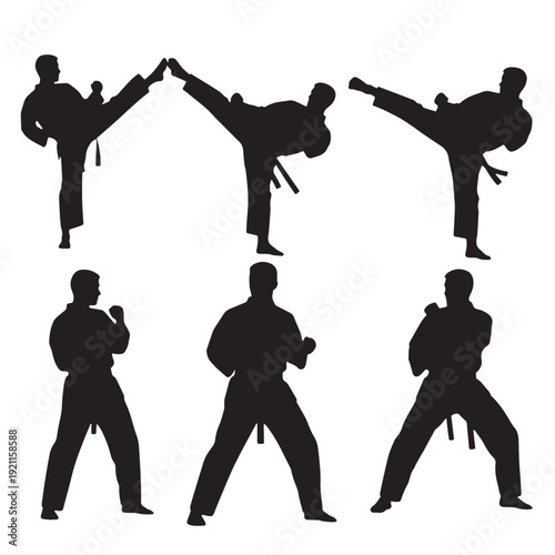 Black Taekwondo Silhouette Vector, High Quality Illustration on White Background