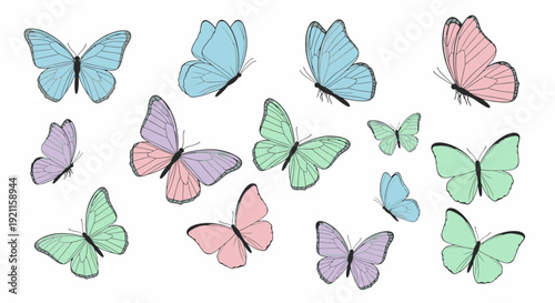 Colorful Butterflies in Various Pastel Shades.