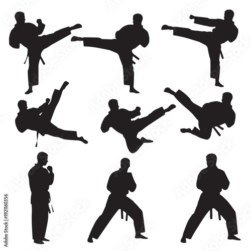 Black Taekwondo Silhouette Vector, High Quality Illustration on White Background