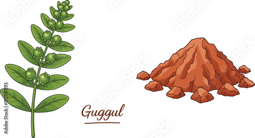 Guggul medicinal plant illustration showing green herbal branch and natural resin powder used in Ayurveda traditional medicine and organic health remedies