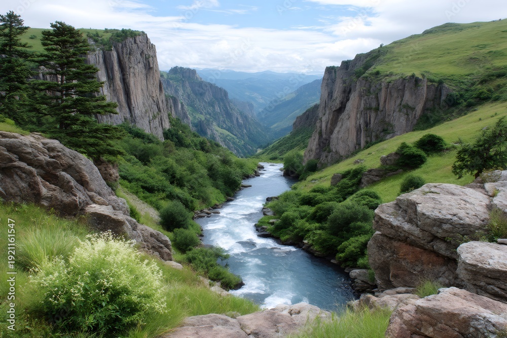Obraz premium River flowing through a deep mountain canyon landscape