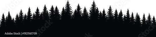 Black silhouette of dense forest with tall pine trees against white background