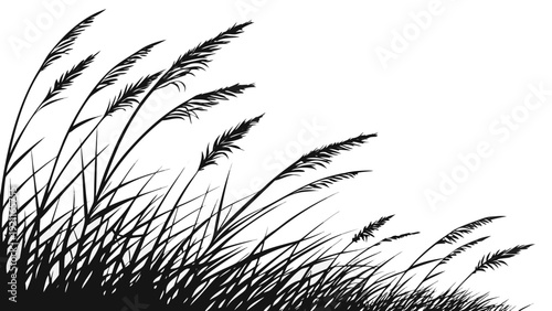 Silhouette of tall grass and reeds swaying in the wind black and white vector illustration.