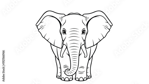 Front View Elephant Head Line Art Illustration