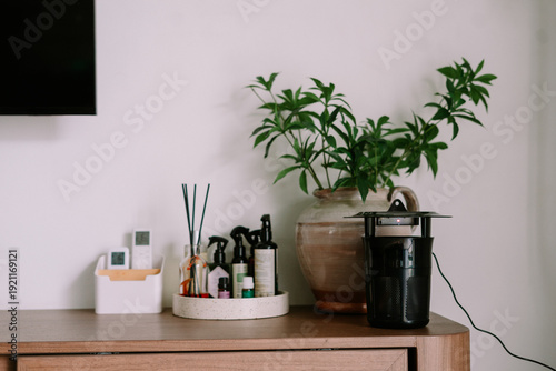 Foto Modern Home Interior with Plant and Electronic Insect Trap