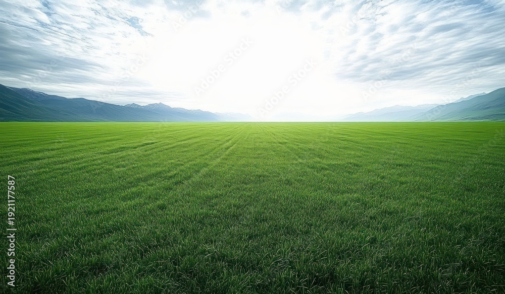 Fototapeta premium Expansive lush green field with mowing lines stretching to distant mountains under a glowing sunrise and soft clouded sky, evoking calm and openness