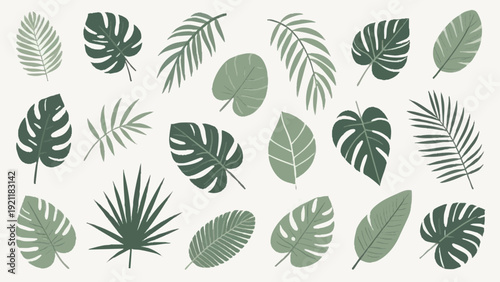 A simple leaf illustration evoking a tropical paradise. Vacation.