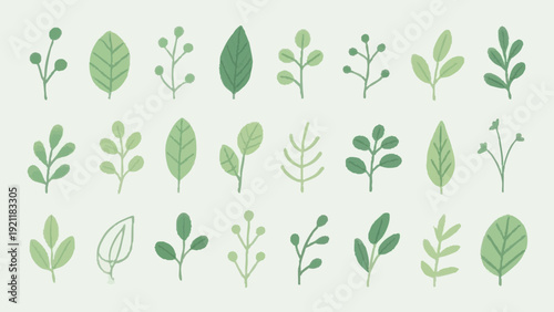 A simple leaf illustration evoking fresh spring foliage. Spring. Summer.