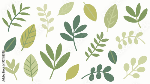 A simple leaf illustration evoking fresh spring foliage. Spring. Summer.