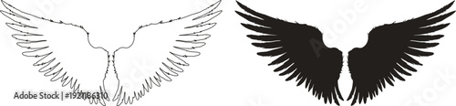 Angel wings spread set in black and outline. Elegant feathered wing shapes for fantasy design. Clean vector elements for tattoos, logos, and decoration.