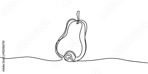 cashew apple continuous one line drawing, One continuous line drawing whole healthy organic cashew apple for orchard logo identity. Fresh Brazilian caju concept for fruit garden icon. Modern single