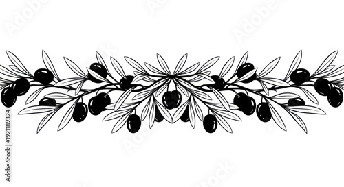 Elegant Olive Branch Border - Hand Drawn Illustration