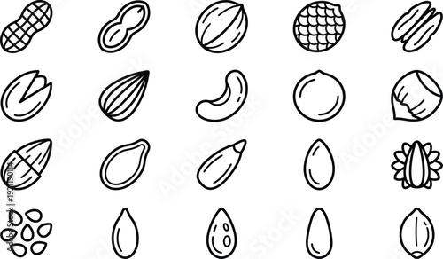 Nut and seed line icons collection, peanut almond walnut pistachio sunflower sesame healthy food vector outline set isolated on white background