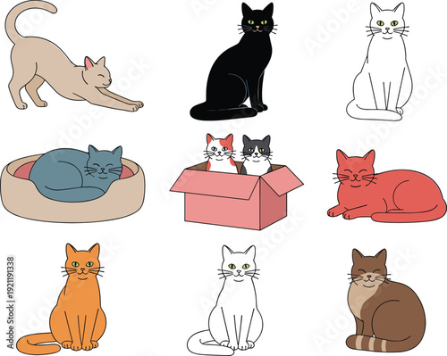 Cute domestic cats and kittens set featuring various breeds sitting stretching sleeping in a bed and hiding in a box vector illustration.