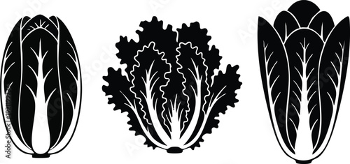 Leafy Green Salad Silhouette Vector: Cabbage, Lettuce, and Romaine Vegetable Icons