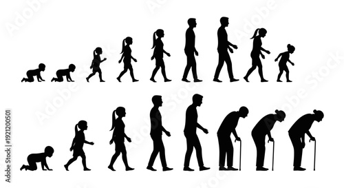 human life cycle silhouettes illustrating progressive stages from infant crawling to elderly walking depicting growth and aging process