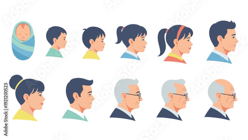human life stages illustration showing male and female profiles from infancy to old age depicting growth and aging.