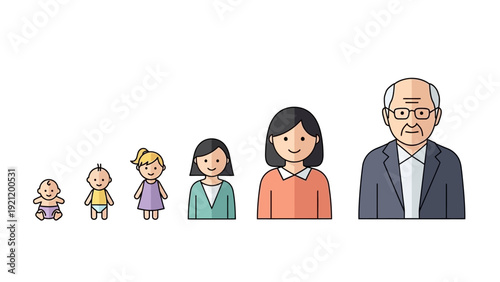 human life stages illustration depicting the progression from infancy to elder showcasing human development ideal for educational content.