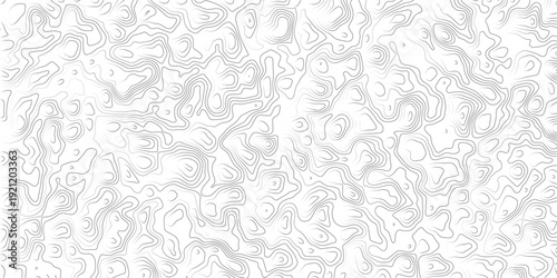 Gray topographic map lines on white background for design and texture
