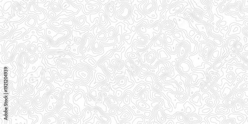 Gray topographic map lines on white background for design and texture_1