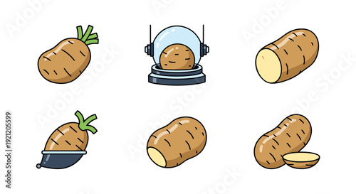 A collection of stylized potato illustrations, depicting whole, sliced, and prepared potatoes for various culinary applications and design projects.