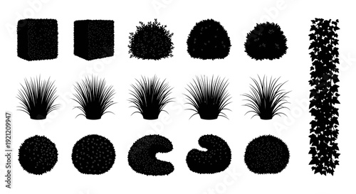 plant silhouettes vector set with hedges bushes ornamental grass and ivy for architectural and landscape design graphics.