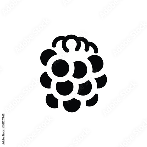 mulberry solid icon vector design good for web or mobile app