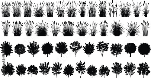 Black vector silhouette set of various garden shrubs bushes and wetland reeds for landscape design nature park and botanical environment branding, cad drawing flat vector illustration