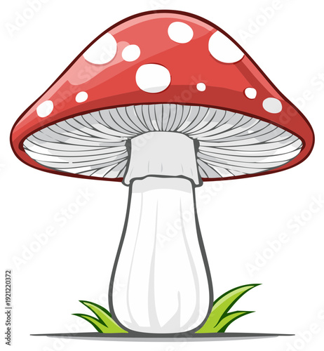 Amanita mushroom with red cap, dotted decoration and green grass illustration against a white background
