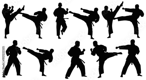 dynamic black silhouettes of male martial artists performing powerful kicks and punches illustrating intense karate training self-defense and fitness concepts.