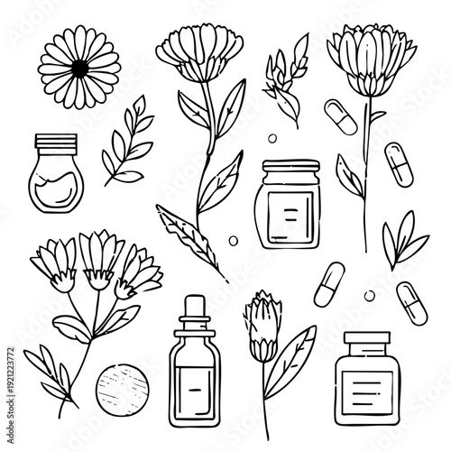 A minimalist collection of botanical elements for homeopathy. Hand-drawn set featuring medicinal herbs, essential oil bottles, capsules, and pills for natural healing and wellness.