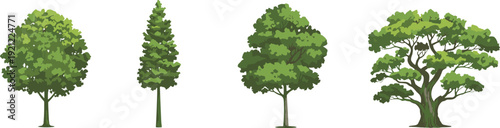Green forest tree collection vector illustration, deciduous and pine trees isolated on white background, natural landscape design set