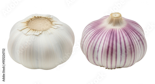 Two bulbs of garlic on transparent background