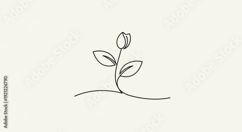 A delicate line drawing of a single tulip flower with leaves on a stem against a soft cream background