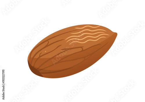 Digital Vector Illustration of Almond with Textured Lines and Gradient Shape