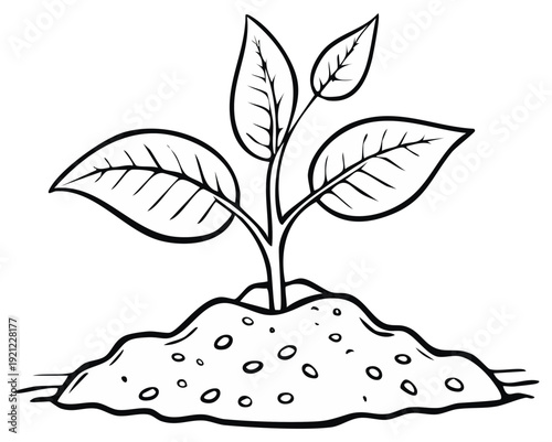 Line art illustration of a plant growing from soil shows the beginning of new life and nurturing of the natural world, simple line drawing