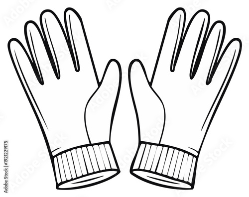 Illustration of a pair of winter gloves