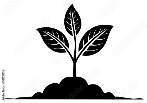 Black silhouette of a young plant sprouting from fertile soil with three leaves reaching upwards