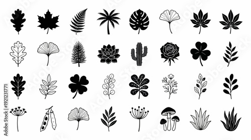 Botanical leaves and flowers vector, black and white plant illustration set, diverse foliage outline drawings, educational nature graphics, decorative design elements for creative projects and studies
