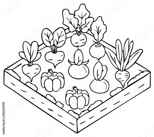 Vegetable Patch Outline: Pumpkins, Tomatoes, Beets, and Turnips Growing in Raised Garden Bed