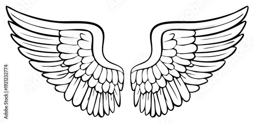 Cartoon wings illustration, white outline, isolated element